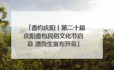 香约庆阳丨第二十届庆阳香包民俗文化节启幕 潘鲁生宣布开幕