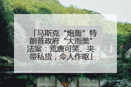 马斯克“炮轰”特朗普政府“大而美”法案：荒唐可笑、夹带私货，令人作呕