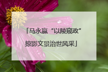 马永嬴“以陵窥政” 掠影文景治世风采