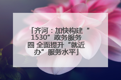 齐河：加快构建“1530”政务服务圈 全面提升“就近办”服务水平