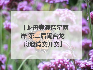 龙舟竞渡情牵两岸 第二届闽台龙舟邀请赛开赛