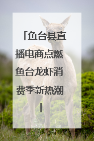 鱼台县直播电商点燃鱼台龙虾消费季新热潮