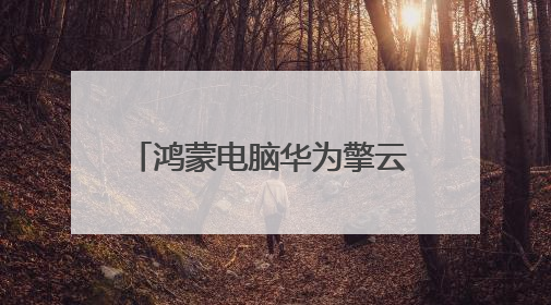 鸿蒙电脑华为擎云 HM940成为2025天津夏季达沃斯中方办公支持电脑