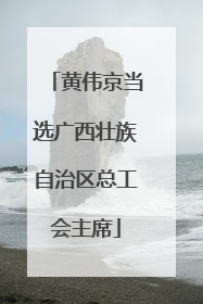 黄伟京当选广西壮族自治区总工会主席