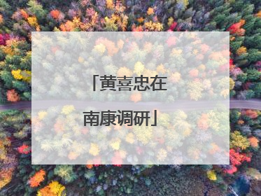 黄喜忠在南康调研