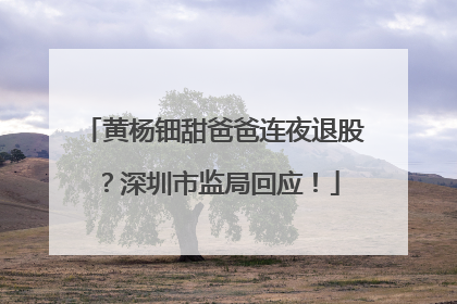 黄杨钿甜爸爸连夜退股？深圳市监局回应！