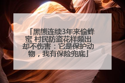 黑熊连续3年来偷蜂蜜 村民防盗花样频出却不伤害：它是保护动物，我有保险兜底