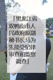黑龙江省双鸭山市人民政府原副秘书长马为先接受纪律审查和监察调查