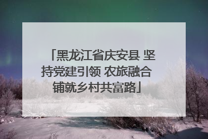 黑龙江省庆安县 坚持党建引领 农旅融合铺就乡村共富路