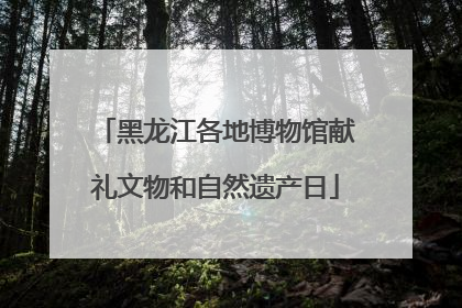 黑龙江各地博物馆献礼文物和自然遗产日