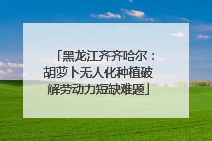 黑龙江齐齐哈尔：胡萝卜无人化种植破解劳动力短缺难题
