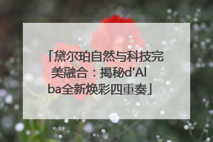 黛尔珀自然与科技完美融合：揭秘d'Alba全新焕彩四重奏
