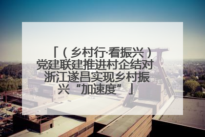 （乡村行·看振兴）党建联建推进村企结对 浙江遂昌实现乡村振兴“加速度”