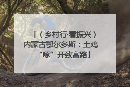 （乡村行·看振兴）内蒙古鄂尔多斯：土鸡“啄”开致富路