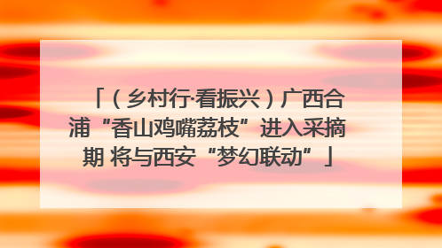 （乡村行·看振兴）广西合浦“香山鸡嘴荔枝”进入采摘期 将与西安“梦幻联动”