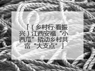 （乡村行·看振兴）江西安福“小西瓜”撬动乡村共富“大支点”