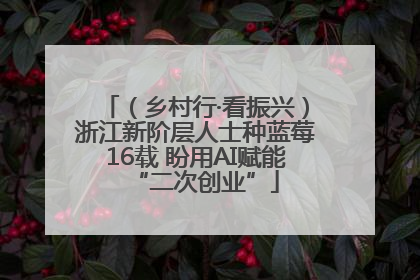 （乡村行·看振兴）浙江新阶层人士种蓝莓16载 盼用AI赋能“二次创业”