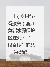 （乡村行·看振兴）浙江黄岩水源保护区蝶变：“一根金枝”的共富密码