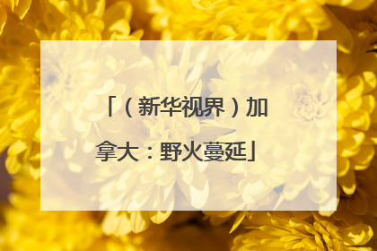 （新华视界）加拿大：野火蔓延