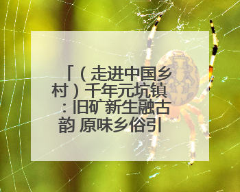 （走进中国乡村）千年元坑镇：旧矿新生融古韵 原味乡俗引客来