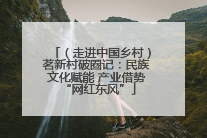 （走进中国乡村）茗新村破圈记：民族文化赋能 产业借势 “网红东风”