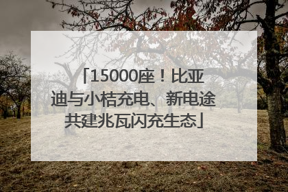 15000座！比亚迪与小桔充电、新电途共建兆瓦闪充生态