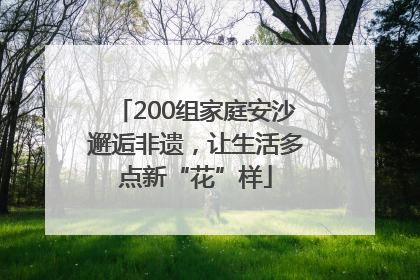 200组家庭安沙邂逅非遗，让生活多点新“花”样