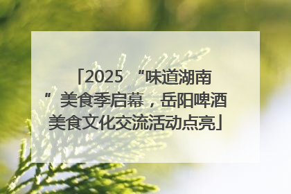 2025 “味道湖南”美食季启幕，岳阳啤酒美食文化交流活动点亮