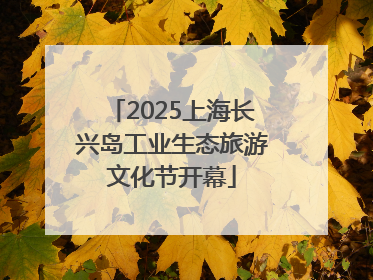 2025上海长兴岛工业生态旅游文化节开幕