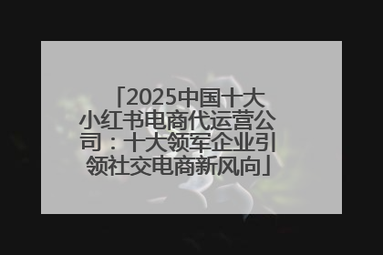 2025中国十大小红书电商代运营公司：十大领军企业引领社交电商新风向