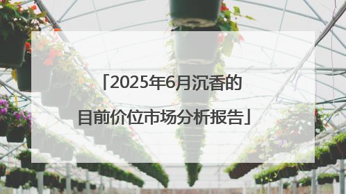 2025年6月沉香的目前价位市场分析报告