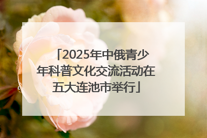 2025年中俄青少年科普文化交流活动在五大连池市举行