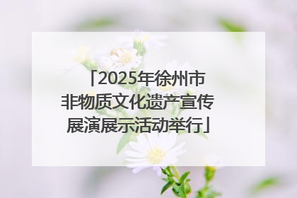 2025年徐州市非物质文化遗产宣传展演展示活动举行