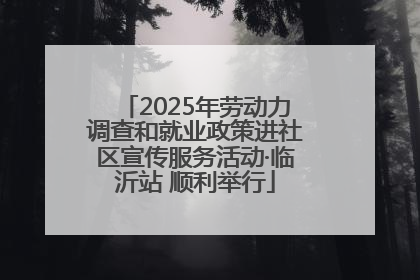2025年劳动力调查和就业政策进社区宣传服务活动·临沂站 顺利举行