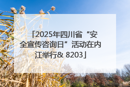 2025年四川省“安全宣传咨询日”活动在内江举行& 8203