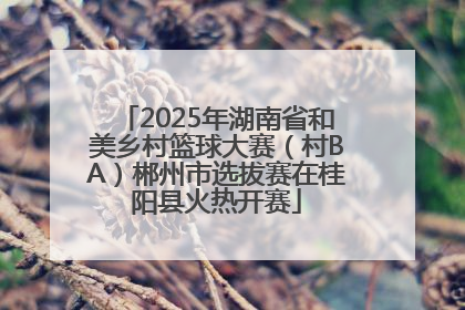 2025年湖南省和美乡村篮球大赛（村BA）郴州市选拔赛在桂阳县火热开赛