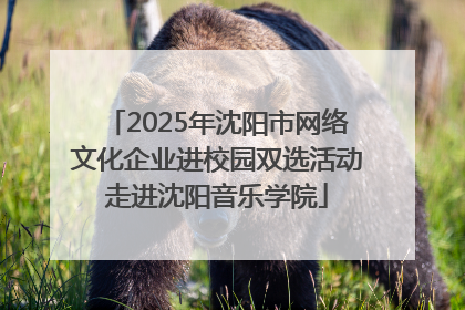 2025年沈阳市网络文化企业进校园双选活动走进沈阳音乐学院