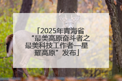 2025年青海省“最美高原奋斗者之最美科技工作者—星耀高原”发布