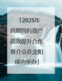 2025年首期国有资产质效提升合作推介会在沈阳成功举办