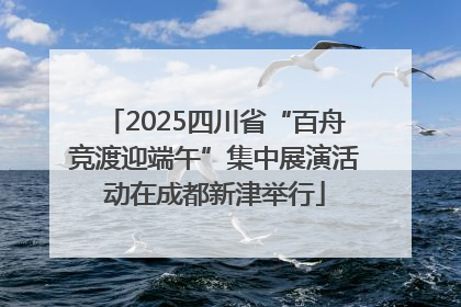 2025四川省“百舟竞渡迎端午”集中展演活动在成都新津举行