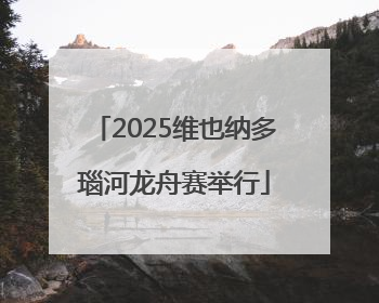 2025维也纳多瑙河龙舟赛举行