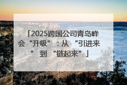 2025跨国公司青岛峰会“升级”：从 “引进来” 到 “链起来”