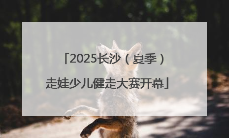 2025长沙（夏季）走娃少儿健走大赛开幕