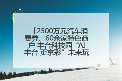 2500万元汽车消费券、60余家特色商户 丰台科技园“AI丰台 更京彩”未来玩家市集活动正式开幕