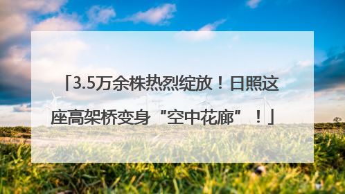 3.5万余株热烈绽放！日照这座高架桥变身“空中花廊”！