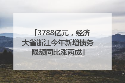 3788亿元，经济大省浙江今年新增债务限额同比涨两成
