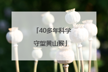 40多年科学守望黄山猴