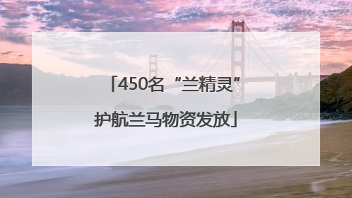450名“兰精灵”护航兰马物资发放