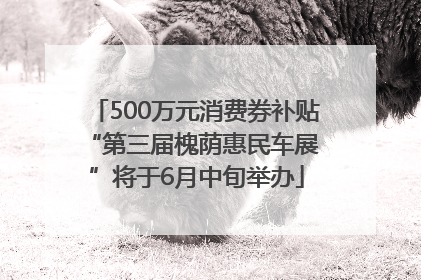 500万元消费券补贴 “第三届槐荫惠民车展”将于6月中旬举办