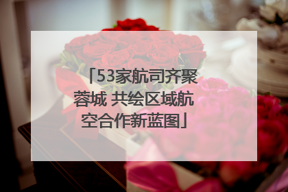 53家航司齐聚蓉城 共绘区域航空合作新蓝图